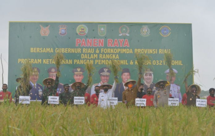 gubri-bersama-danrem-031-wb-hadiri-panen-raya-padi-di-rohil