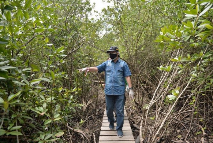 gubernur-riau-resmikan-ekowisata-mangrove-desa-pangkalan-jambi